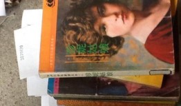 珍妮姑娘电影在线观看,穿越时空的浪漫邂逅